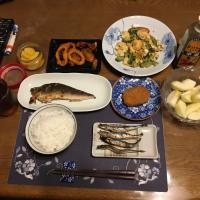 ご飯、ゴーヤチャンプルー、稚内の真ほっけ焼き、子持ち樺太ししゃも焼き、丸ごとイカ唐揚げ、コロッケ、沢庵、烏龍茶、りんご(夕飯)